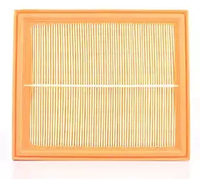 Воздушный фильтр BSG купить